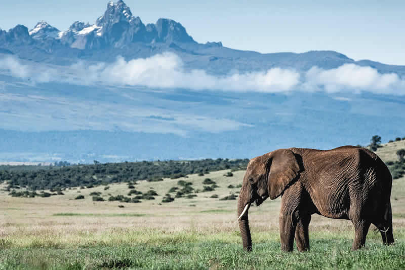 mt kenya